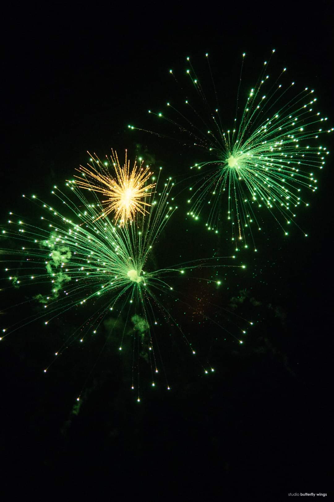 Fireworks Display Sri Lanka - South Lanka Fireworks 19