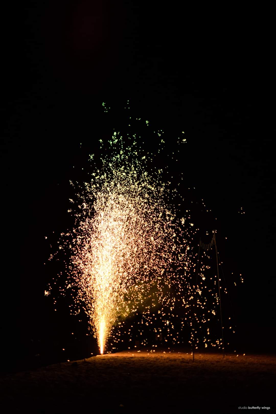 Coconut Tree - South Lanka Fireworks